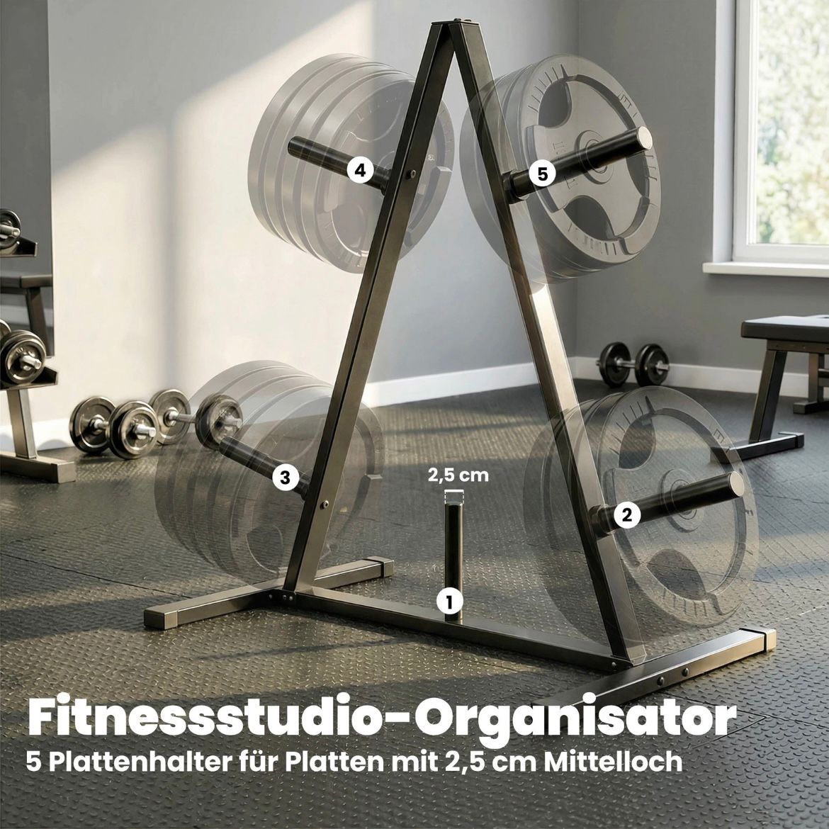 Hantelscheibenständer 25mm Sport Trainingszubehör Fitness Kraftsport