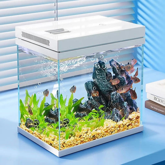 Aquarium 10L Komplettset mit LED Filter Fischtank Glas Haustiere