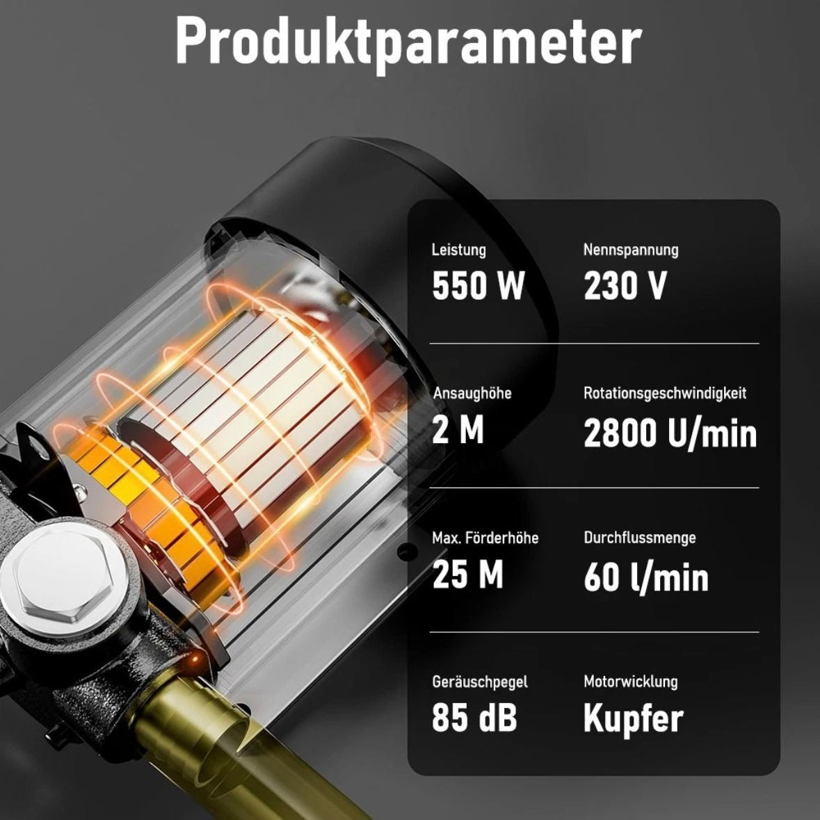 Heizöl- und Dieselpumpe 230V/550W 60l/min Selbstansaugende Heizölpumpe