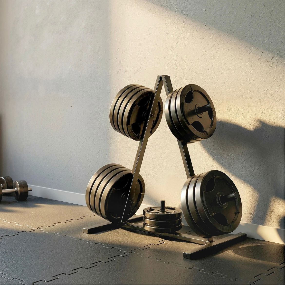 Hantelscheibenständer 25mm Sport Trainingszubehör Fitness Kraftsport
