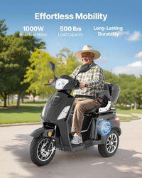 Elektromobil Seniorenmobil Dreirad 1000W 60V 35km Reichweite