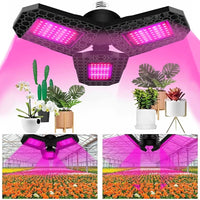 LED Pflanzenlampe Vollspektrum Zimmerpflanzen Wachstumslampe