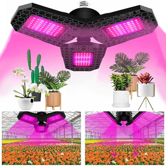 LED Pflanzenlampe Vollspektrum Zimmerpflanzen Wachstumslampe