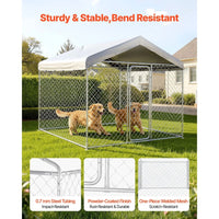 Hundezwinger 2,3x2,3x2,15m Dach Hunde Zwinger Gartenzwinger