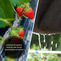 2x Unkrautvlies 50m Gartenvlies UV-stabilisiert Gartenzubehör Vlies