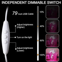 LED Neon Schild Sexy Lady Silhouette Wanddeko Leuchtreklame Bar