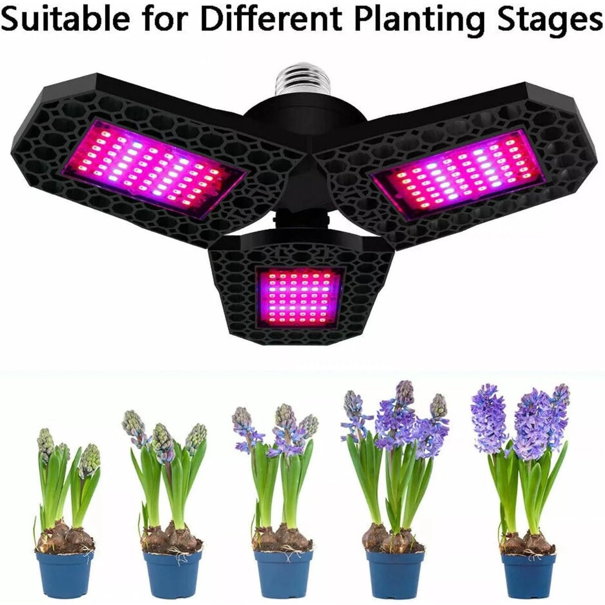 LED Pflanzenlampe Vollspektrum Zimmerpflanzen Wachstumslampe