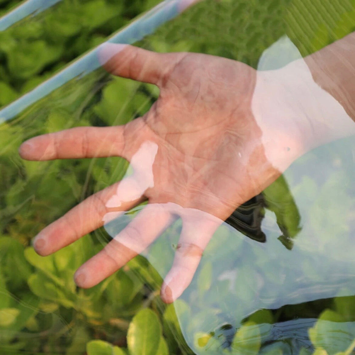 Wasserdichte Transparente Plane 3x4m Schutzplane Folie Klare
