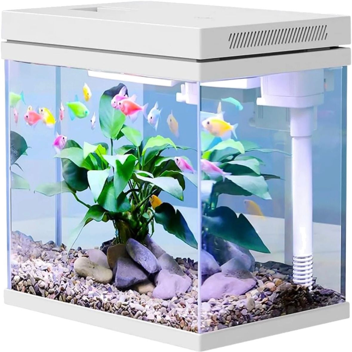 Aquarium 10L Komplettset mit LED Filter Fischtank Glas Haustiere