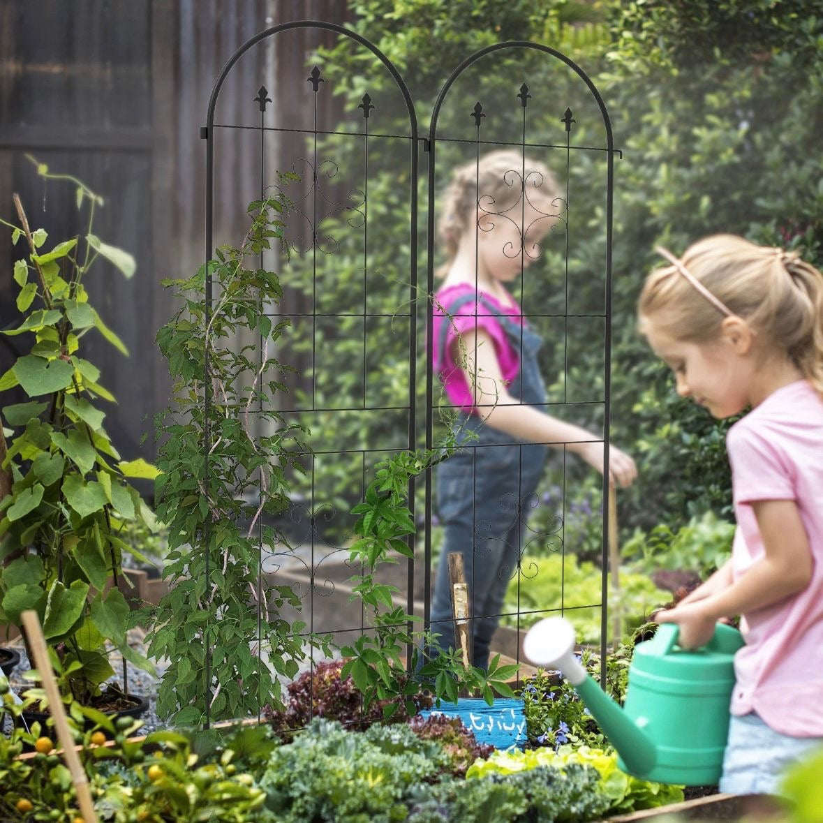 Rankgitter 2er Set Rankhilfe Spalier Rosenbogen Gartenbogen