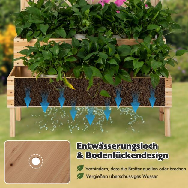 Gartenbett Pflanzenkasten Gartenbeet Frühbeet