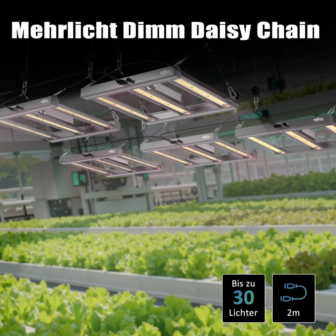 LED Pflanzenlampe 150W Pflanzenbeleuchtung Pflanzenlicht