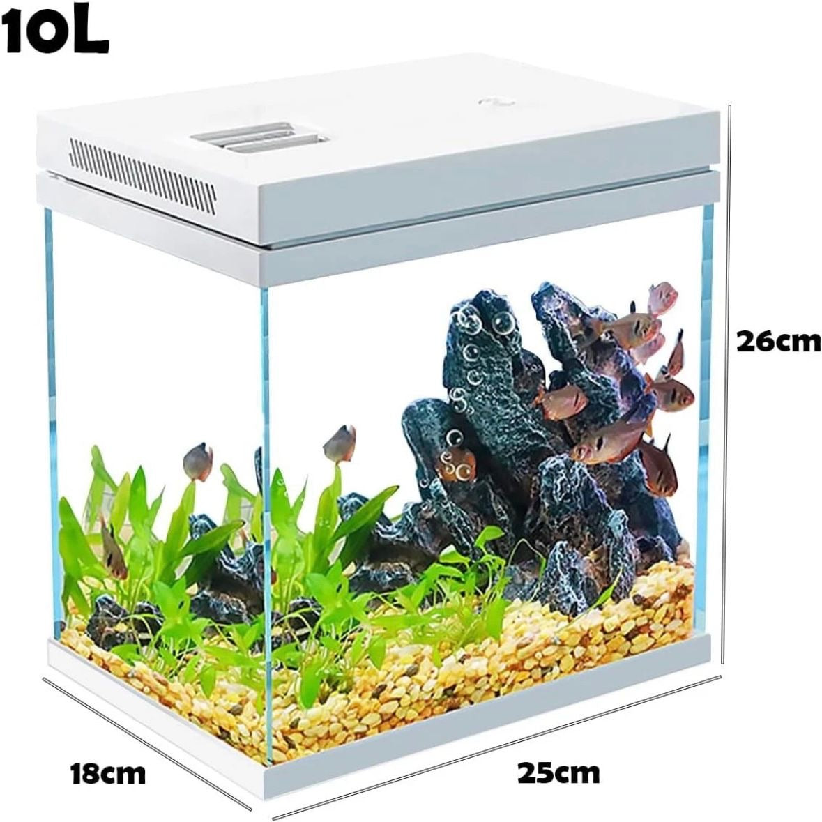 Aquarium 10L Komplettset mit LED Filter Fischtank Glas Haustiere