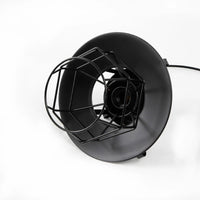 Antike Deckenleuchte Pendelleuchte Deckenlampe Esszimmer