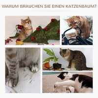 Katzenbaum Kratzbaum Kletterbaum Spielbaum Sisalsäule 65cm Grau