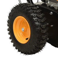 2in1 Schneefräse & Kehrmaschine Benzin 196cm³