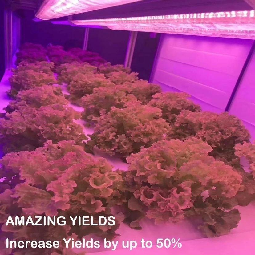 LED Pflanzenlampe 40W Vollspektrum Grow Light