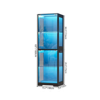 LED Glasvitrine schwarz