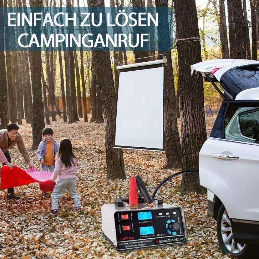 Batterieladegerät 12V 24V 30A