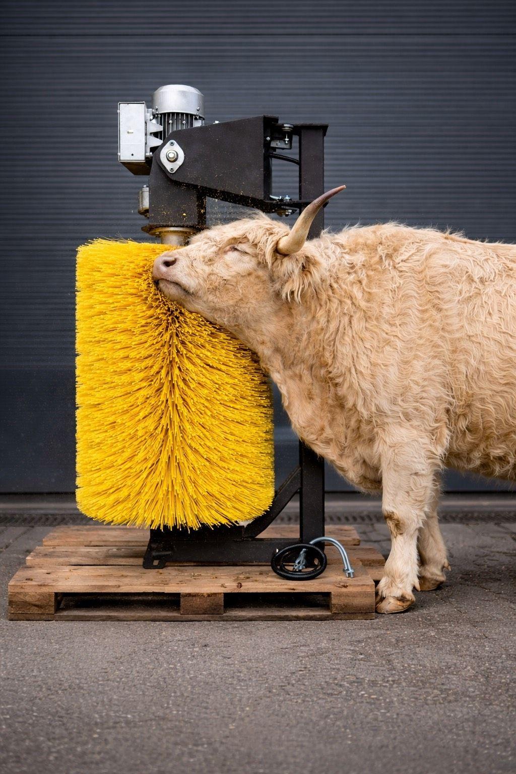 Automatische Kuhbürste 190W Stall