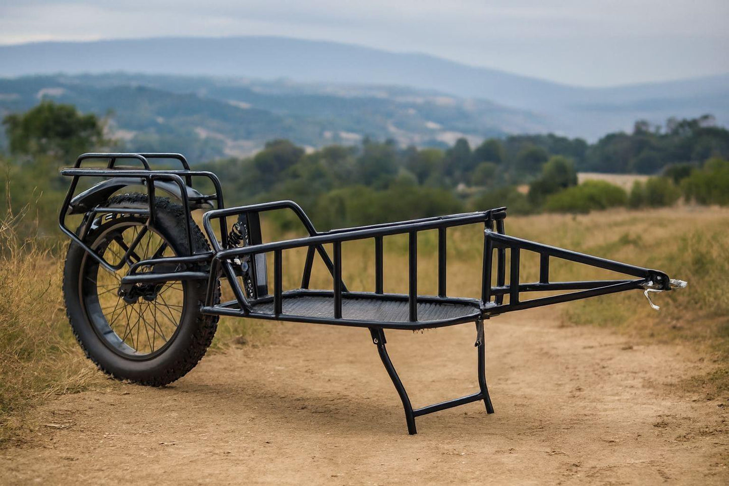 Fahrradanhänger 32kg Einrad Transportanhänger mit 20” Reifen & Stahlrahmen