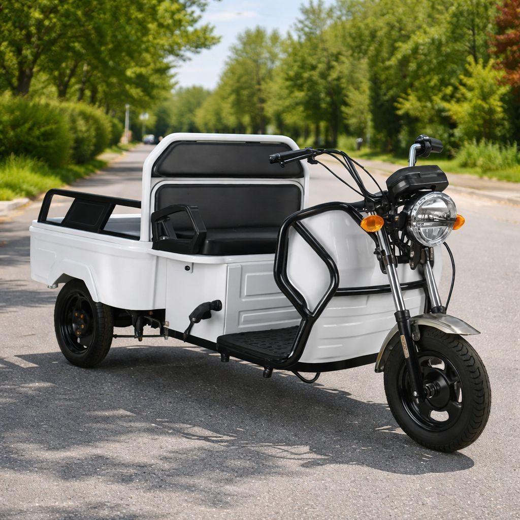 Elektro Lastenrad 1000W