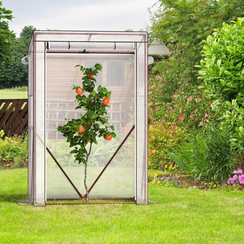 Tomaten Gewächshaus Mini Folienhaus