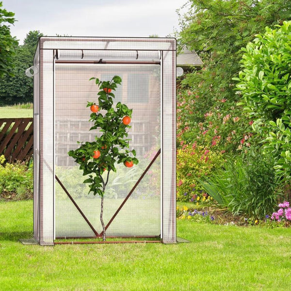 Tomaten Gewächshaus Mini Folienhaus