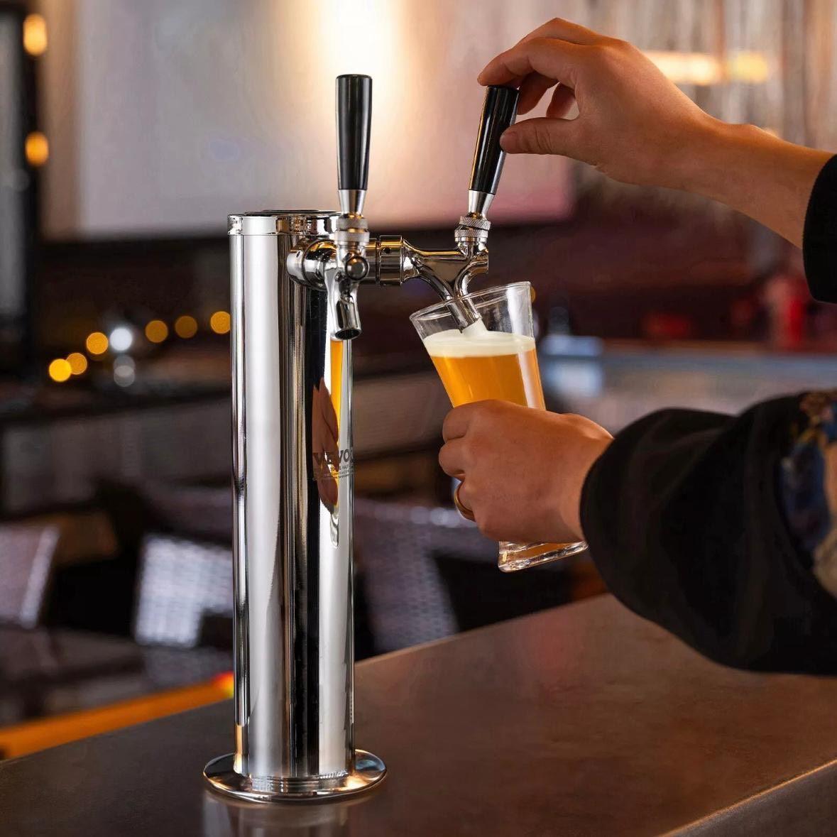 Doppelhahn Kegerator Bierturm Edelstahl mit Zubehör & Druckregler
