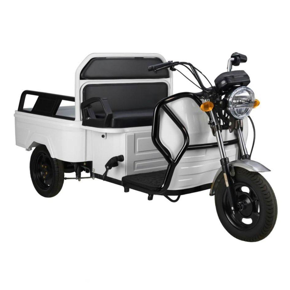 Elektro Lastenrad 1000W