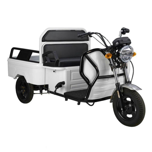 Elektro Lastenrad 1000W