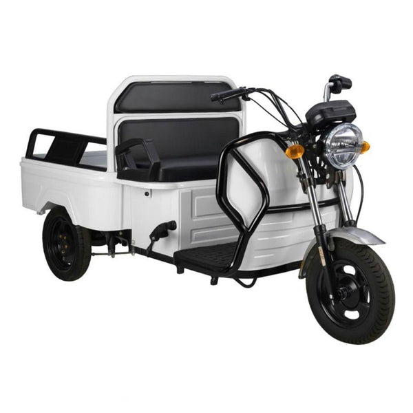 Elektro Lastenrad 1000W