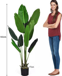 Künstliche Pflanze 160cm Tropenpflanze