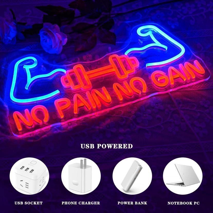 LED Neon Schild No Pain Gain