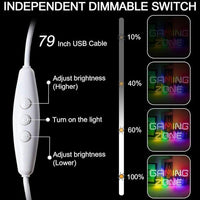 LED Neon Schild Gaming Zone