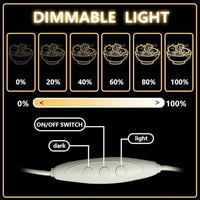 LED Neon Schild Katzen Ramen