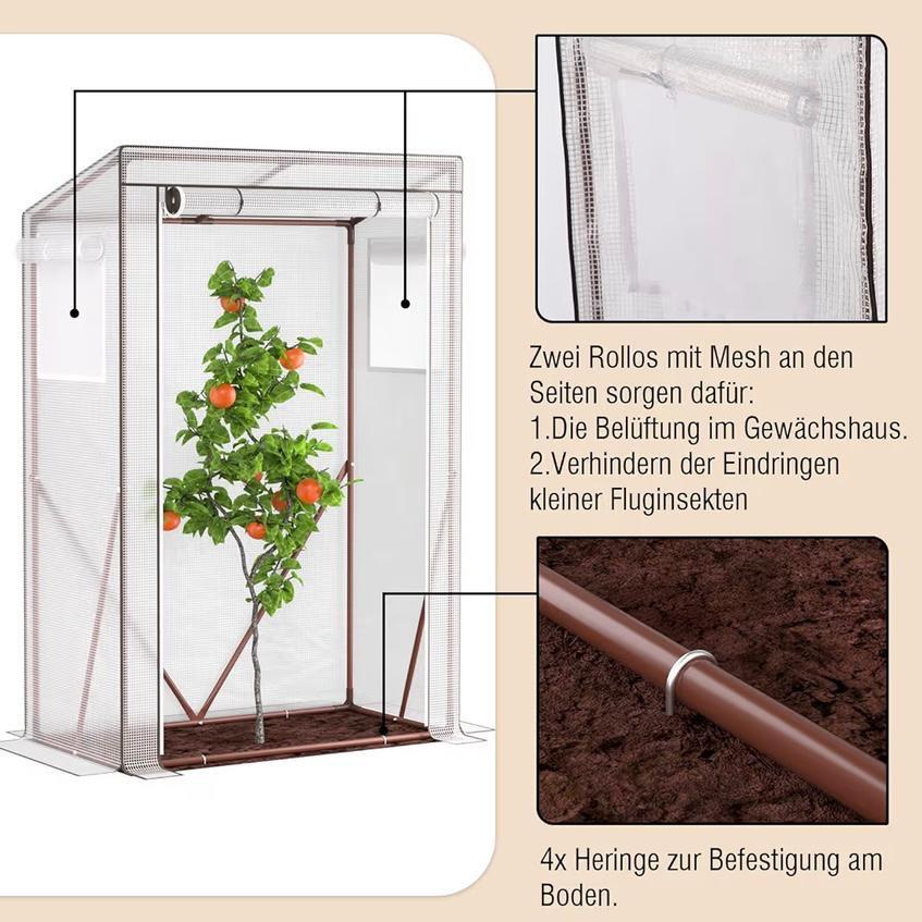 Tomaten Gewächshaus Mini Folienhaus
