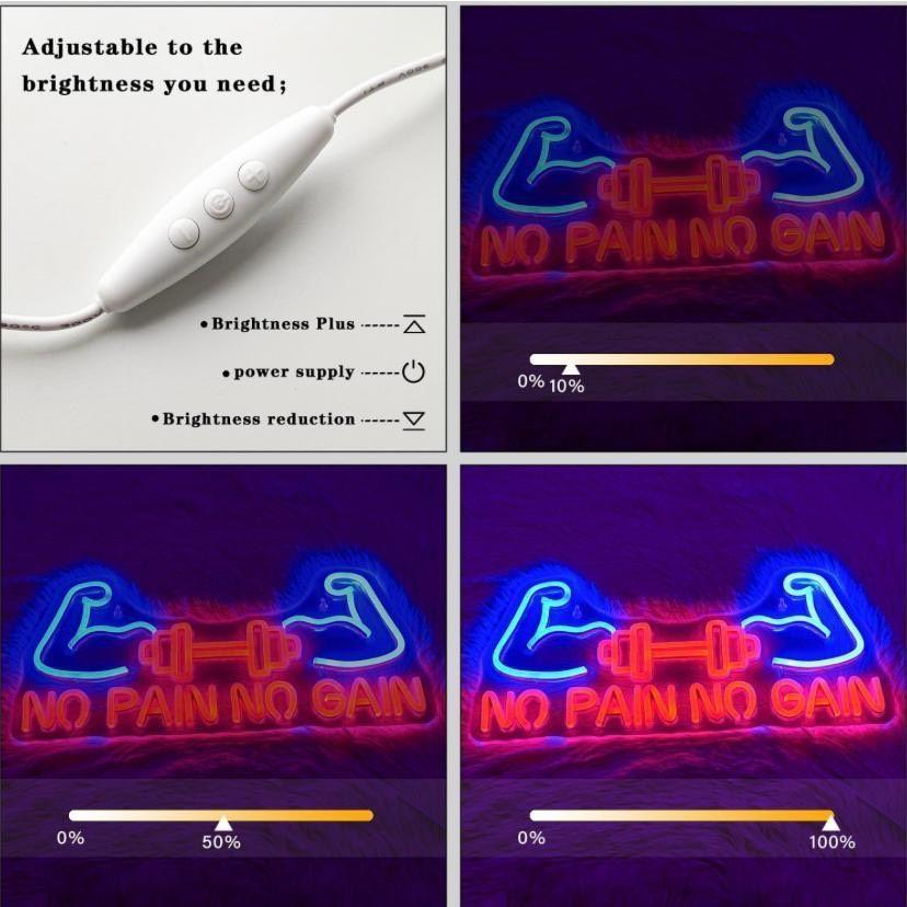 LED Neon Schild No Pain Gain