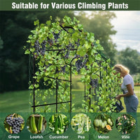 Gartenbogen Rankhilfe Metall 222 cm Torbogen