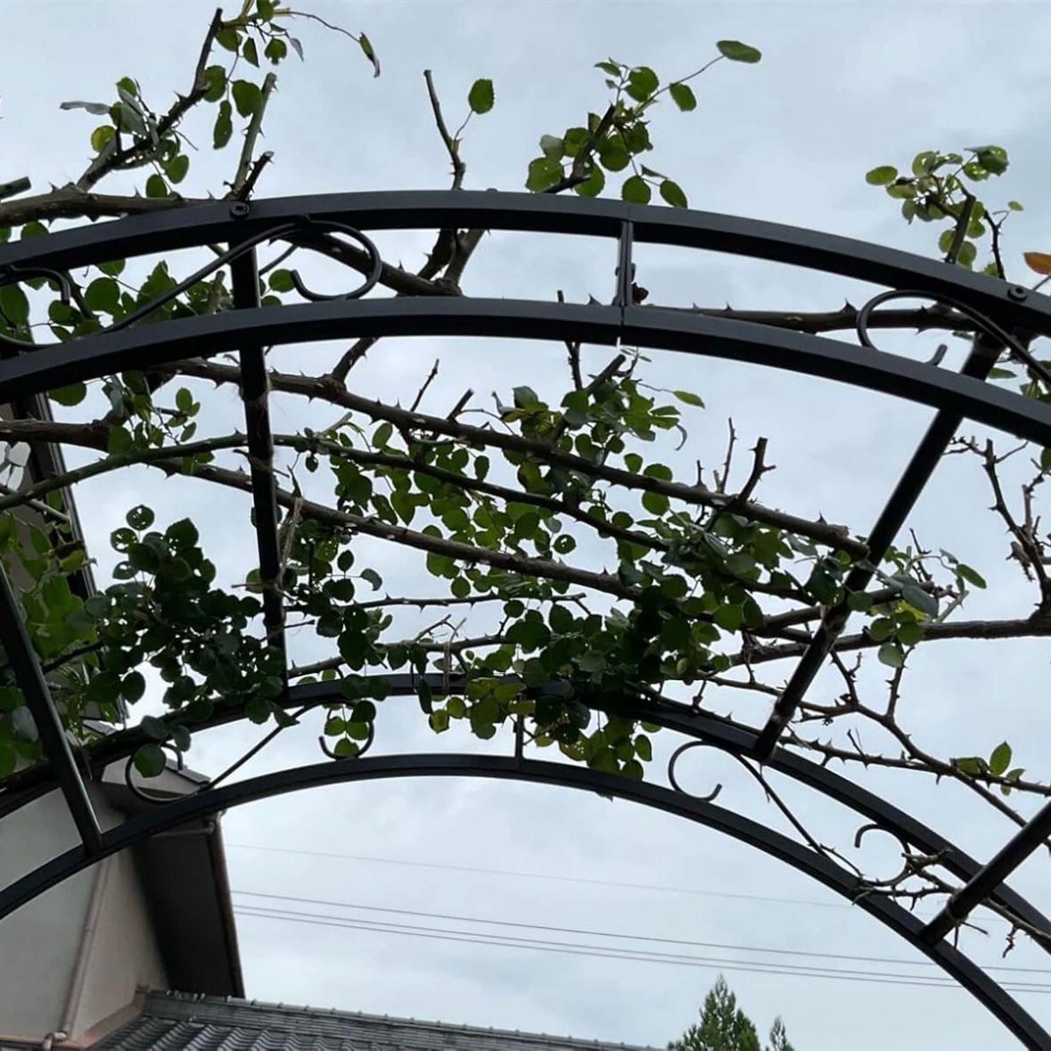 Rosenbogen Metall Gartenbogen Rankhilfe Schwarz Eisen