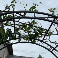 Rosenbogen Metall Gartenbogen Rankhilfe Schwarz Eisen