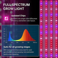 LED Pflanzenlampe 40W Vollspektrum Grow Light