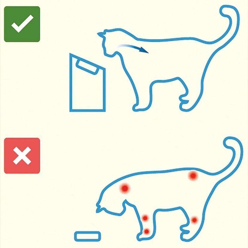Futterstation Hund Katze