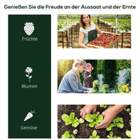 Foliengewächshaus Mini Gewächshaus Pflanzenhaus Gewächshaus