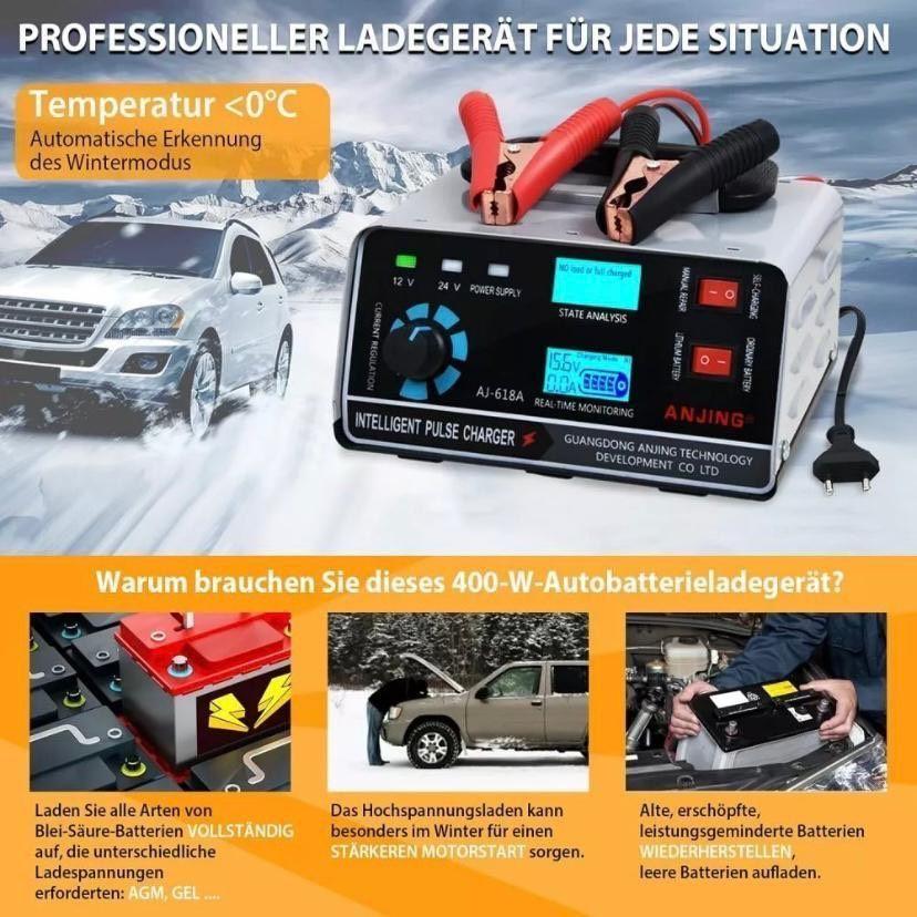 Batterieladegerät 12V 24V 30A
