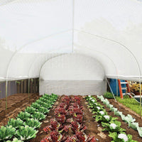 Foliengewächshaus 6×3×2 m Garten Gewächshaus