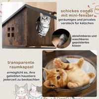 Kratzbaum Katzenschrank Katzenklo Katzenmöbel