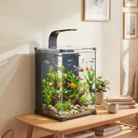 Aquarium Komplettset 36L LED Beleuchtung 30x30cm