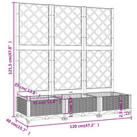XXL Pflanzkuebel Spalier Rankgitter 120x40x121cm Pflanzkasten Blumenkasten