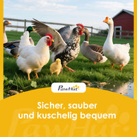 Legenest Hühner Hühnernest Nistkasten Nutztiere Landwirtschaft